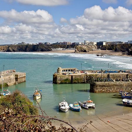Appartamento 1 Harbour View New Quay Esterno foto